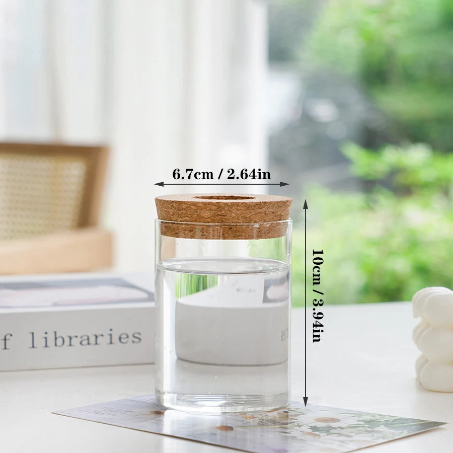 Plant Propagation Station – Hydroponic Acrylic Vase Planter Jars for Desk, Home Garden Decor & Gifts