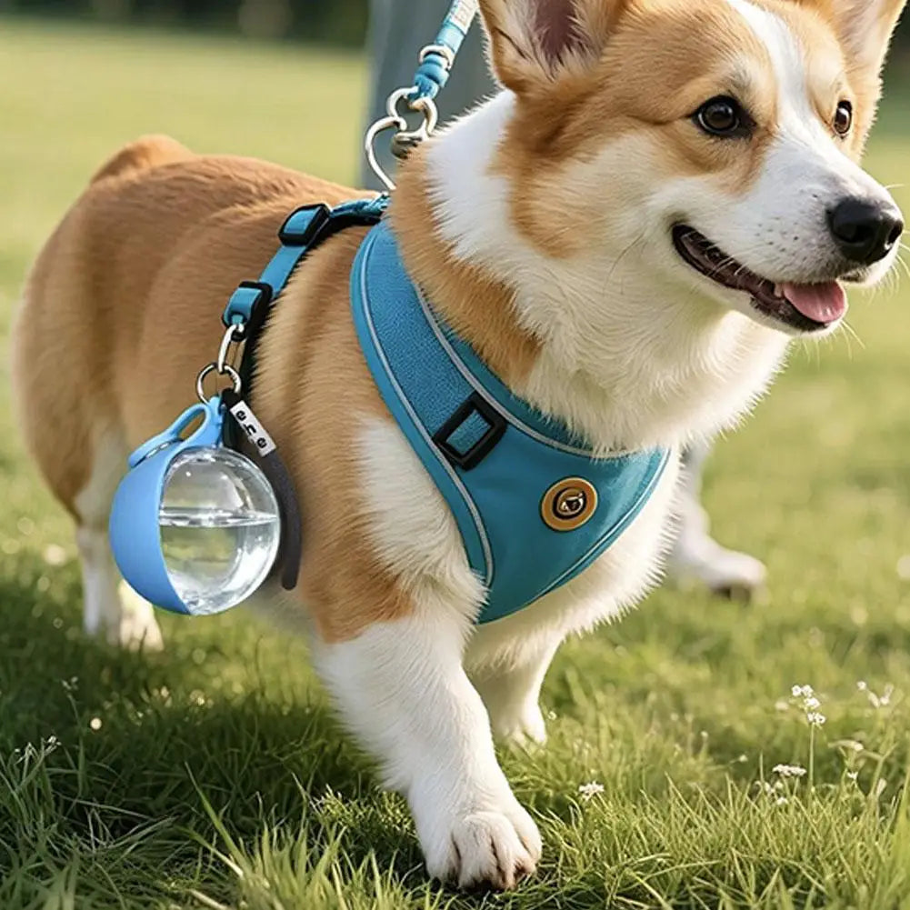 Portable Dog Water Bottle 285ml | Foldable Bowl, Leak-Proof