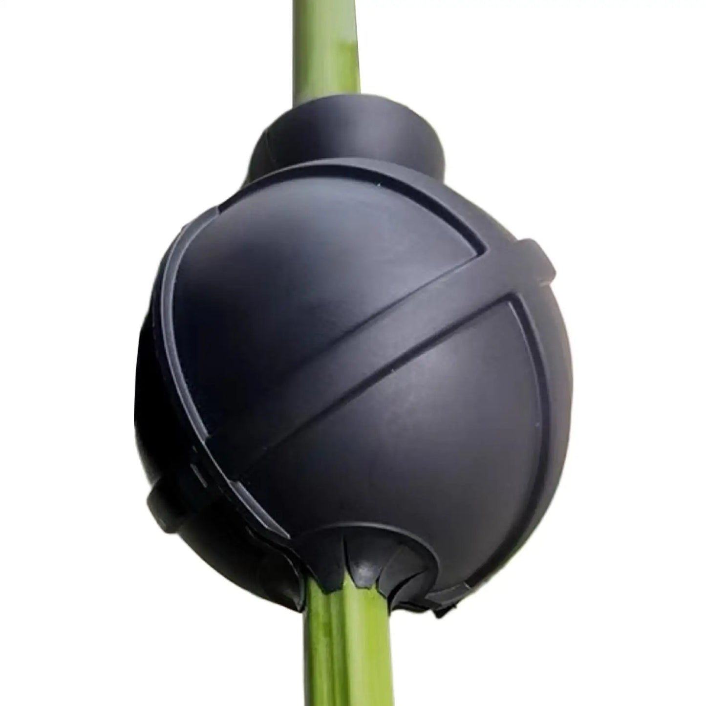 Plastic Grafting Rooting Ball | Plant Propagation Box