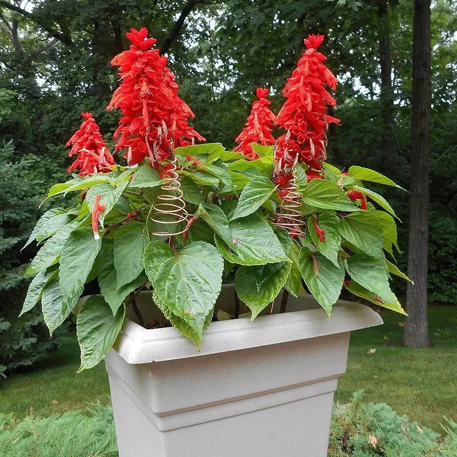 Electroculture Plant Stakes Pure Long Copper Garden Electro Culture
