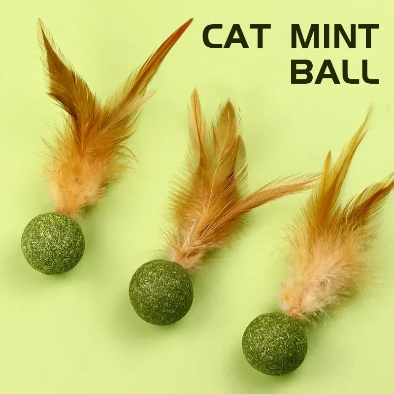 Edible Catnip Ball Cat Toy – Wood, Feather & Teeth Cleaning