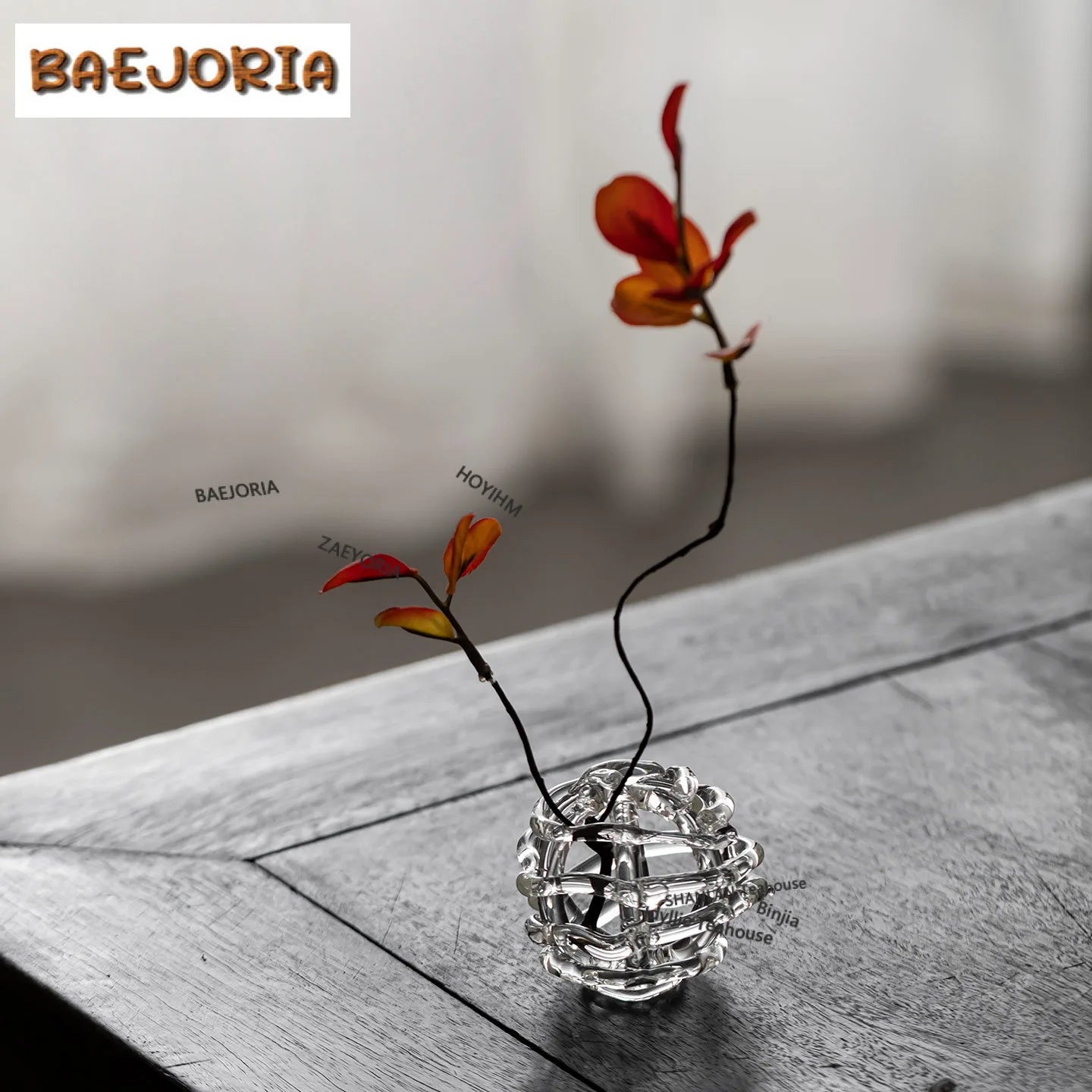 BAEJORIA Glass Ball Vase | Hydroponics Flower Pot & Tea Decor