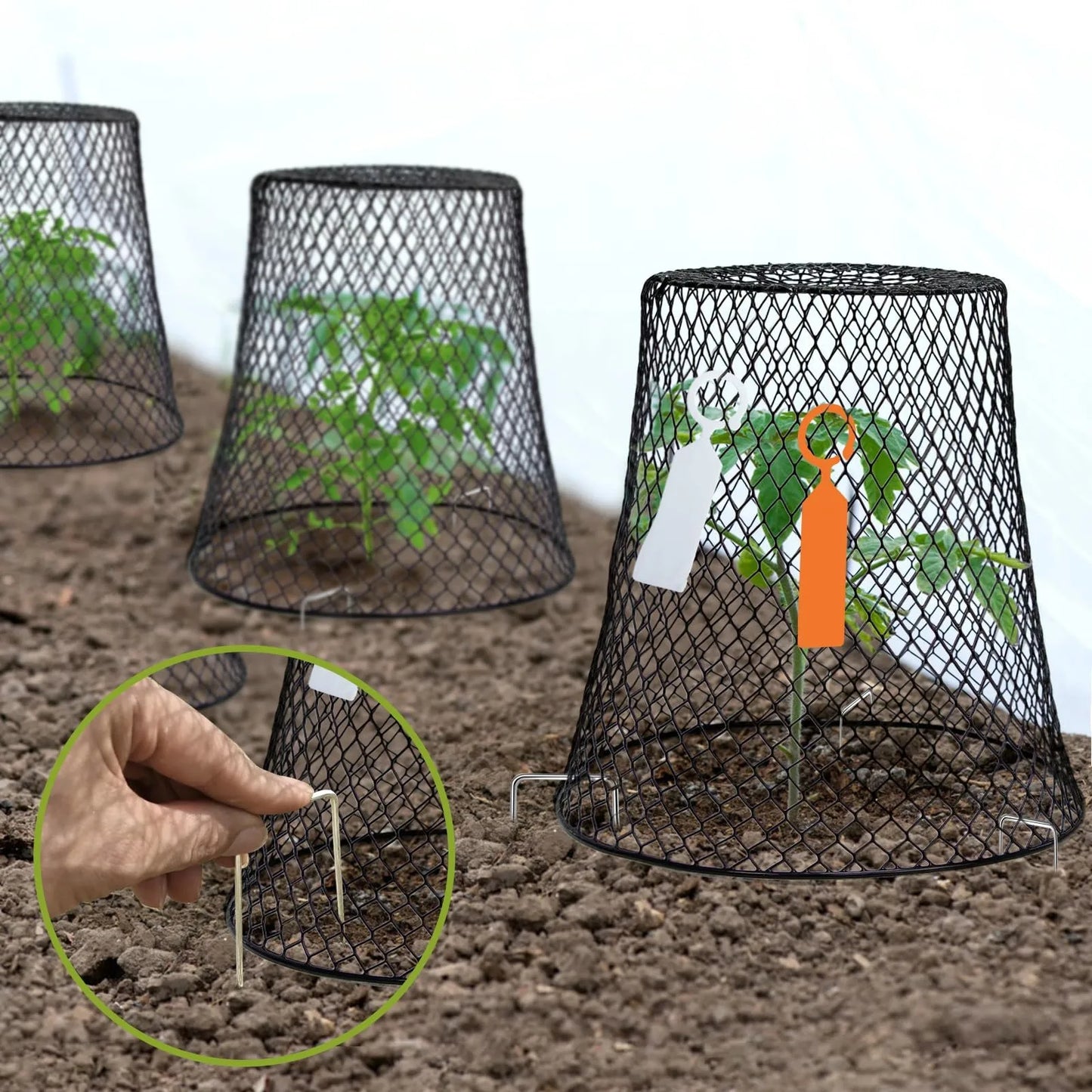 5/10pcs Wire Plant Protection Cover Garden Roof Seedlings Fruit And Vegetable Protection Cage Prevent Rabbits Chickens Squirrels Peaceful Pleasures Health and Wellness