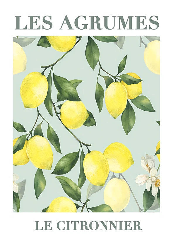 Retro Lemon Olive Tree Canvas Wall Art | Summer Home Decor