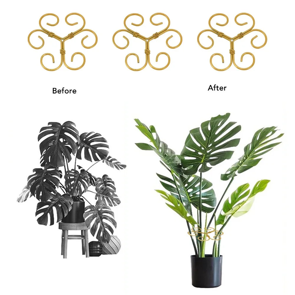5-Pack Gold Iron Monstera Plant Stem Support Rings | Reusable