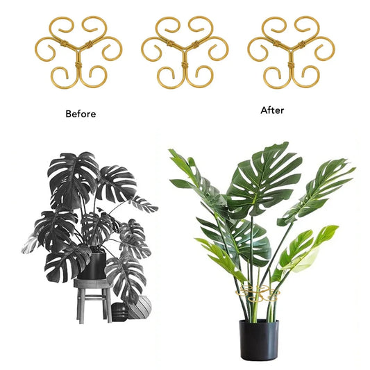 5-Pack Gold Iron Monstera Plant Stem Support Rings | Reusable Plant Support Rings Peaceful Pleasures Health and Wellness