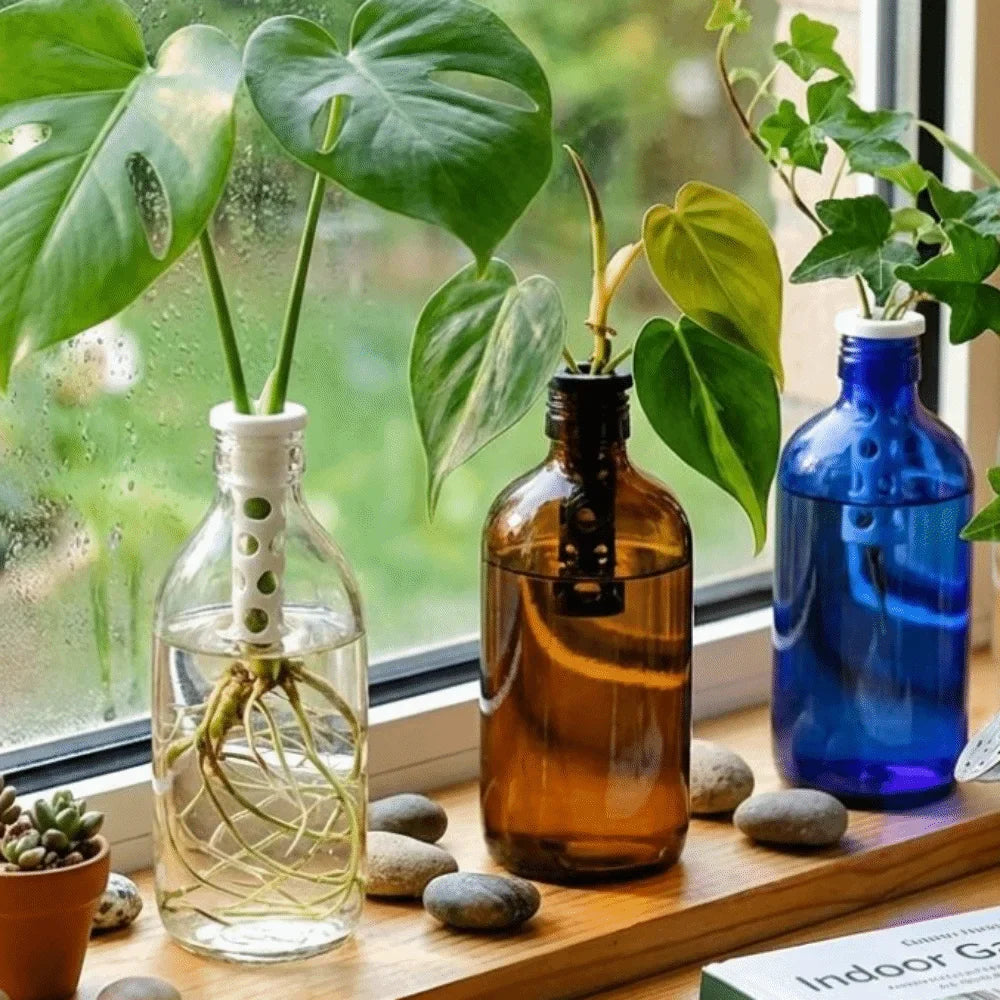 3D Printed Hydroponic Plant Holders | Indoor Basket Stand 2-Pack