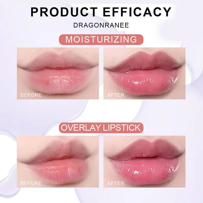 Flower Lip Oil Set 6pcs – Moisturizing Jelly Gloss Kit