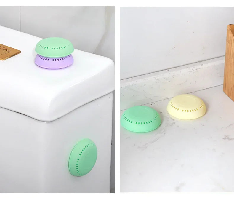 Shell Aromatherapy Air Freshener | Home & Car Fragrance Disc Aromatherapy Air Freshener Peaceful Pleasures Health and Wellness