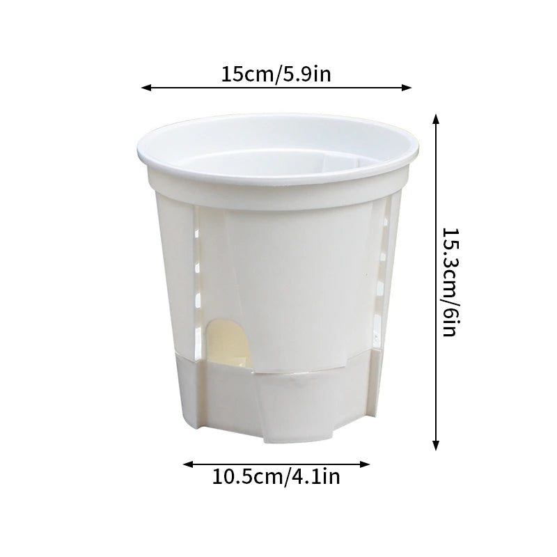 Self-Watering Transparent Orchid Pot | Double Layer Hydroponic