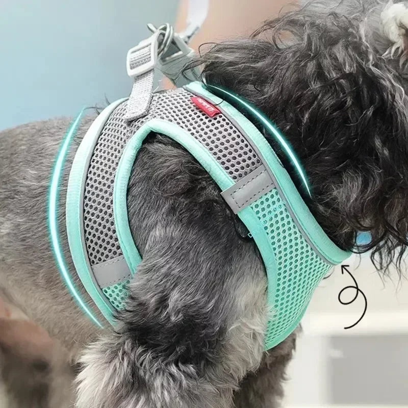 Puppy Harness Set Dog Accessories Adjustable Pet Vest Dogs French Bulldog Chihuahua Small Dog Collar Supplies Products Home Peaceful Pleasures Health and Wellness