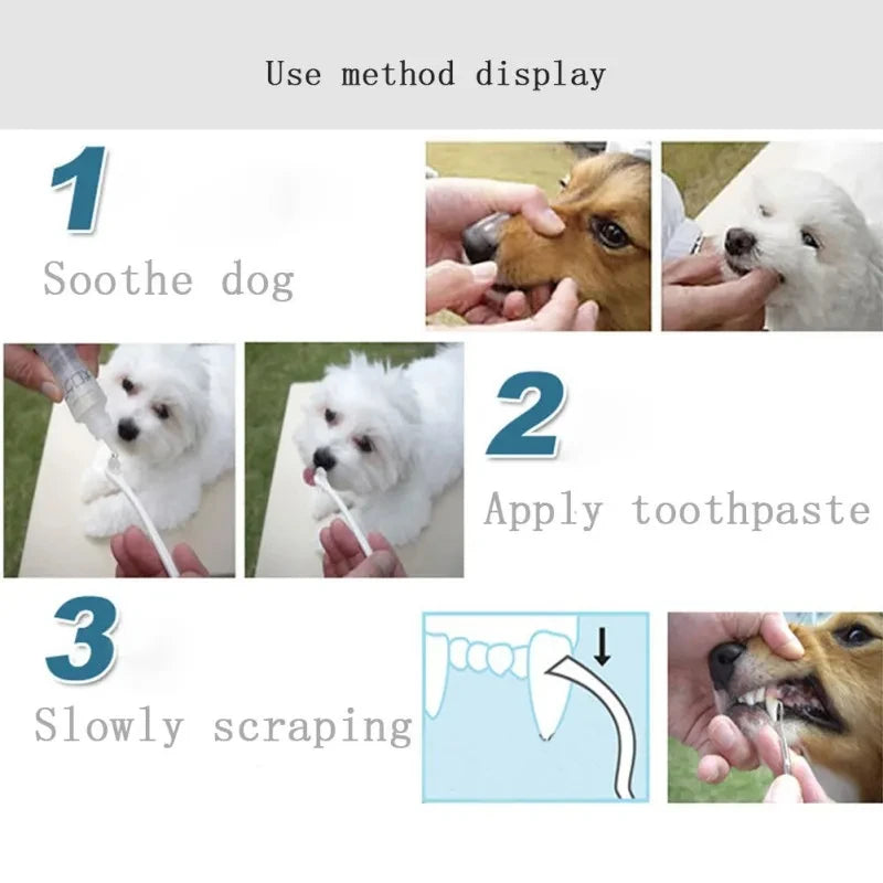 3Pcs Pet Dog Tooth Cleaner Tooth Scaler and Scraper Stainless Double Headed Tarter Remover Scraper Pet Teeth Dog Cleaning Tools Peaceful Pleasures Health and Wellness