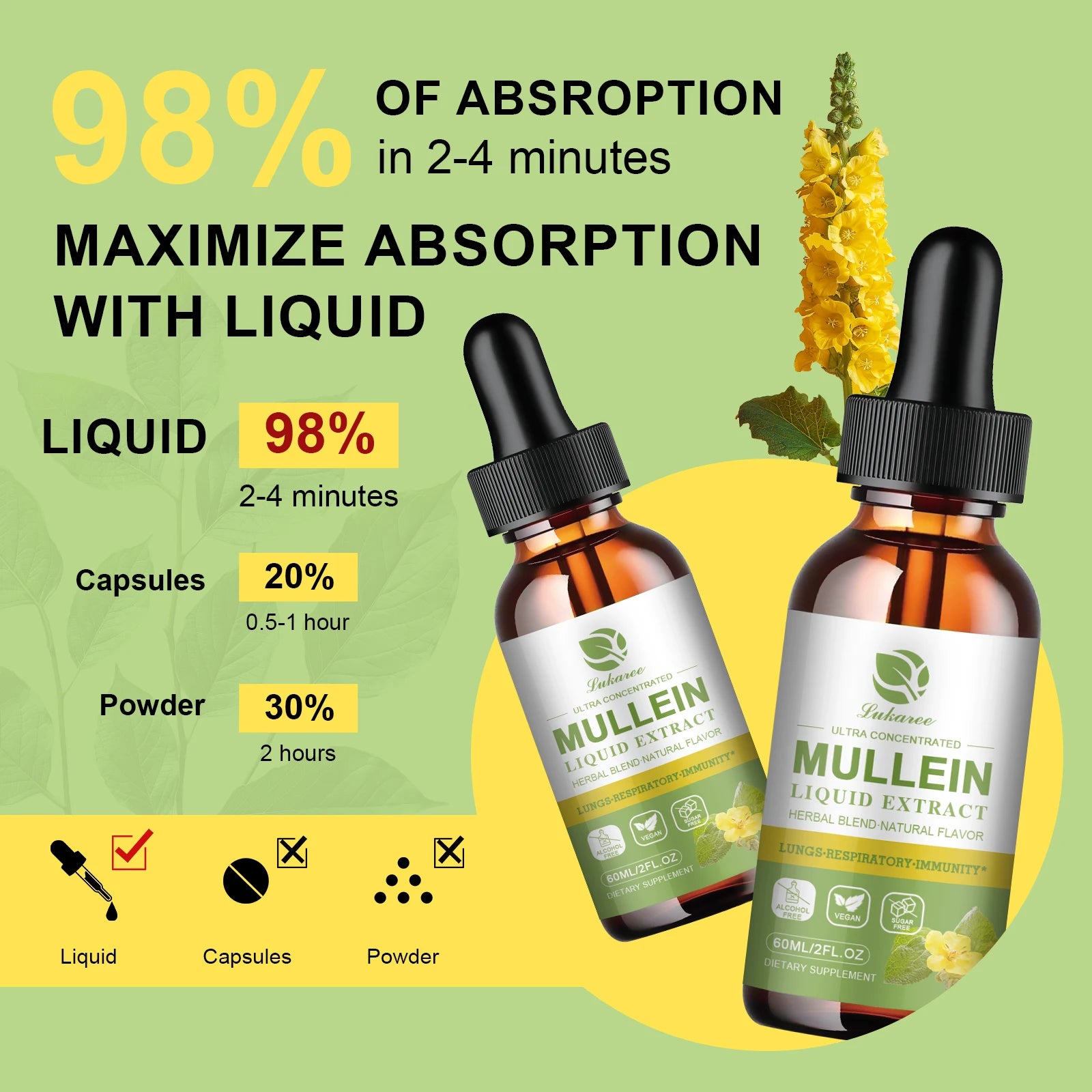 Mullein Leaf Extract Drops – Lung Detox, Respiratory & Immune Support | 60ml Peaceful Pleasures Health and Wellness