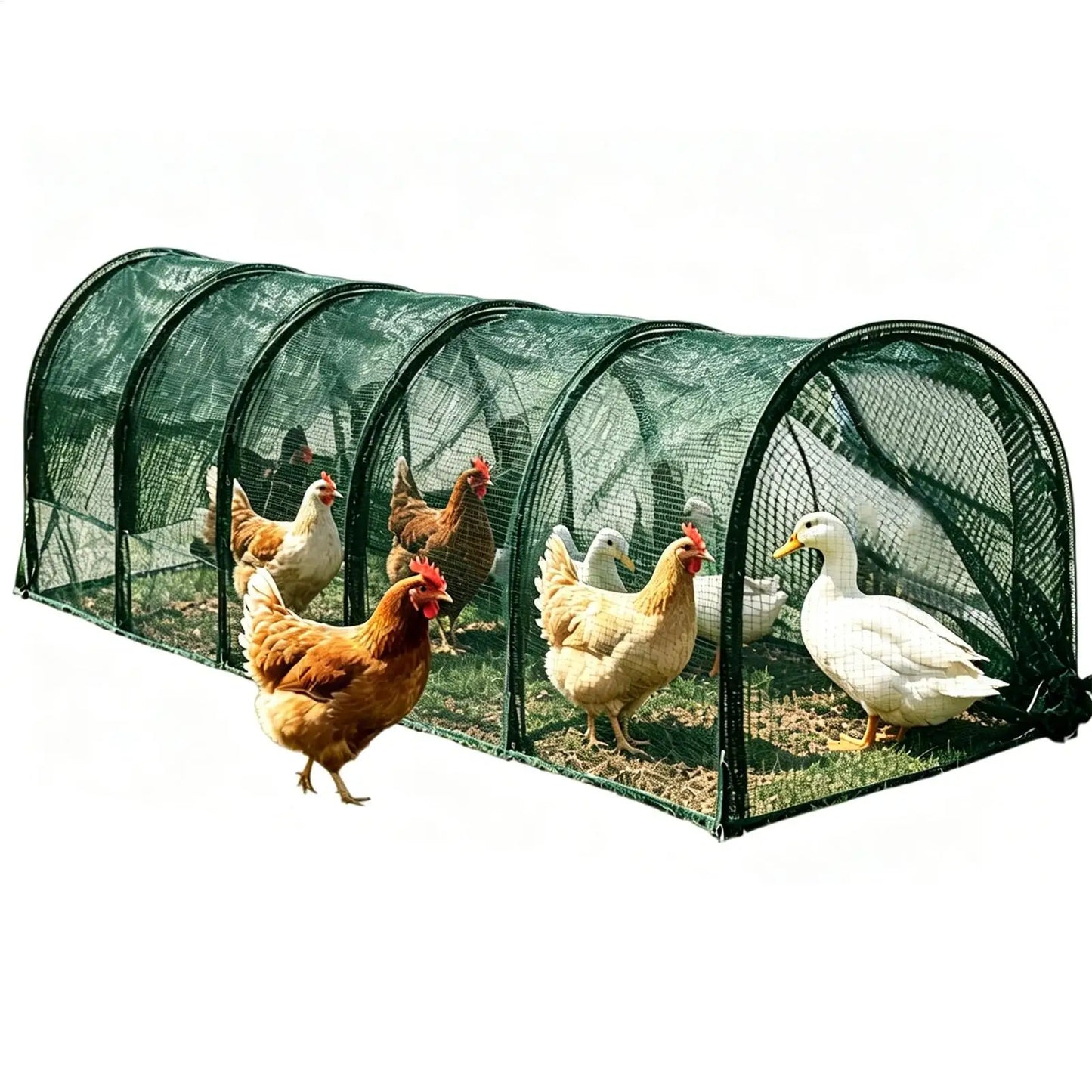 Foldable Chicken Tunnel Run – Outdoor Poultry Enclosure 300cm