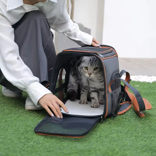 Pet Carrier Bag Anti Collapse Multiple Storage Pockets Travel Handbag for Medium Cats Puppy Rabbits Small Pets Peaceful Pleasures Health and Wellness