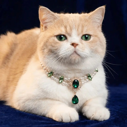 Double Layer Faux Pearl Pet Collar Necklace | Adjustable Luxury Pet Collar Necklace Oasis Select