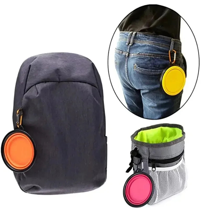 Foldable Silicone Pet Travel Bowl with Carabiner – Dogs & Cats