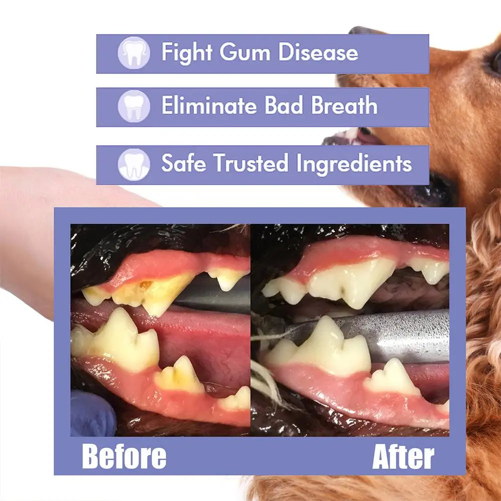 Pet Oral Cleaning Spray – Fresh Breath & Dental Care for Dogs