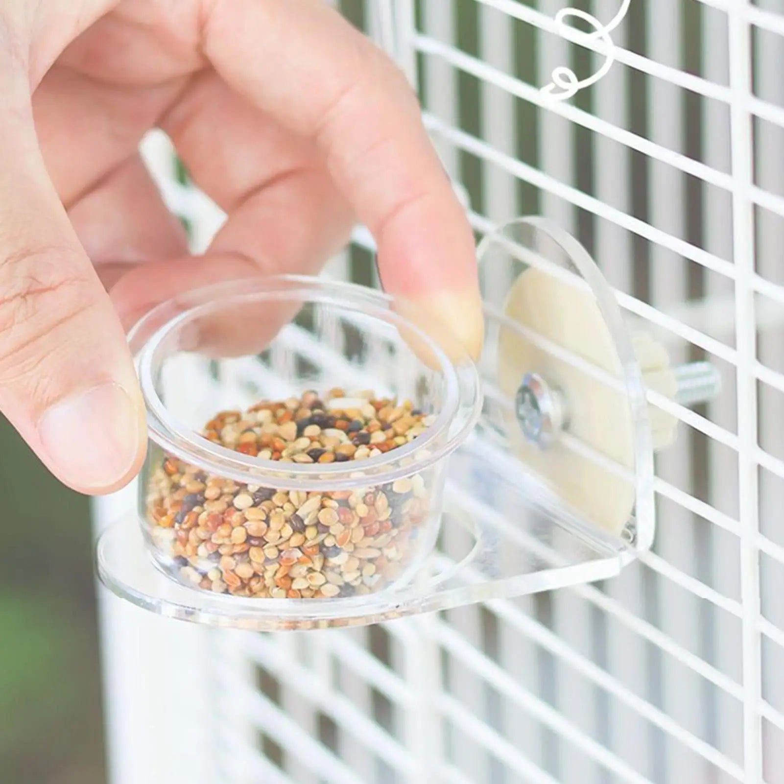 Bird Dishes for Cage Detachable Bird Cups for Cages Container Feeder Dispenser Transparent for Pet Supplies Water Squirrel Peaceful Pleasures Health and Wellness