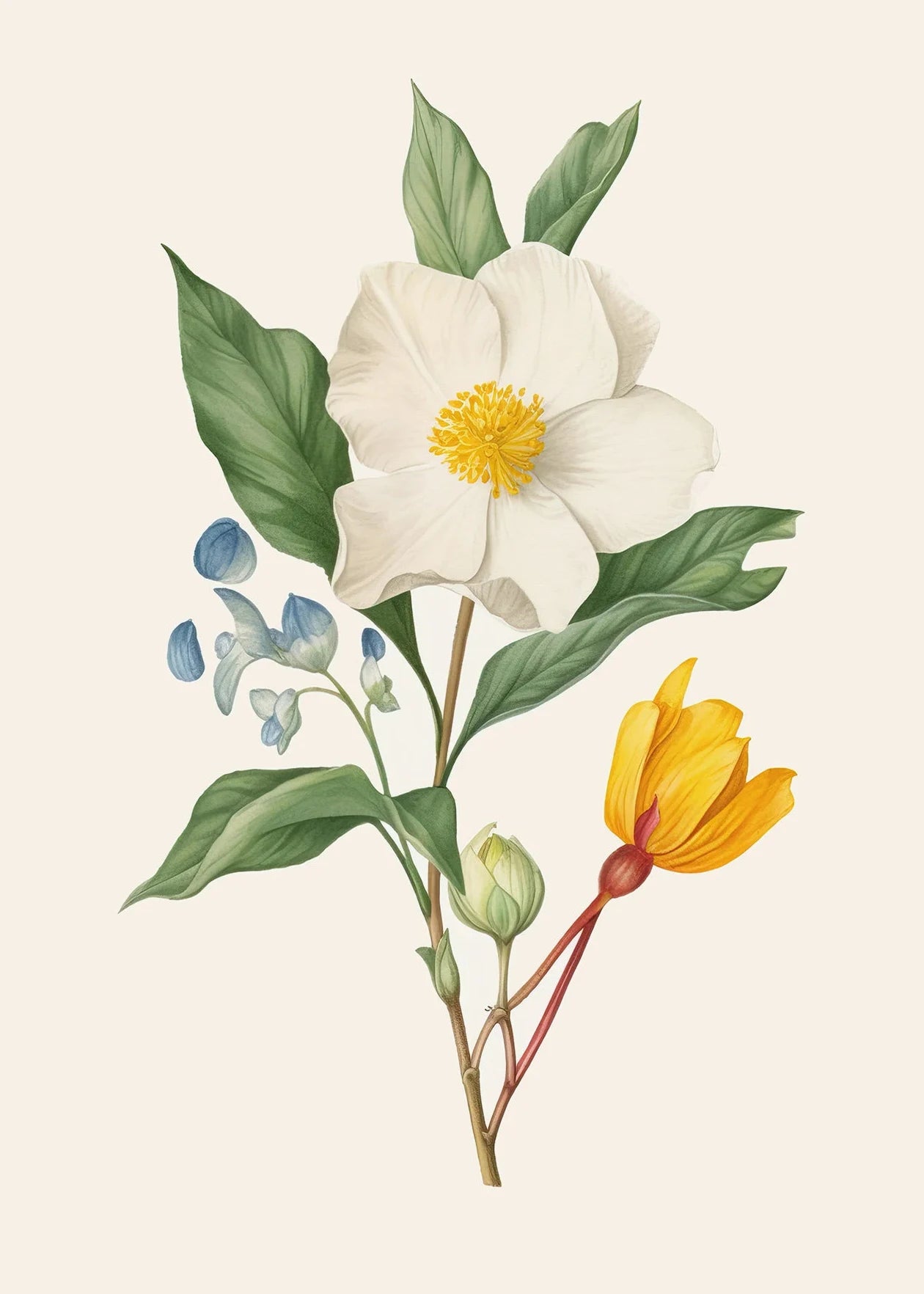 Boho Wildflower Watercolor Canvas Poster | Minimalist Floral Art