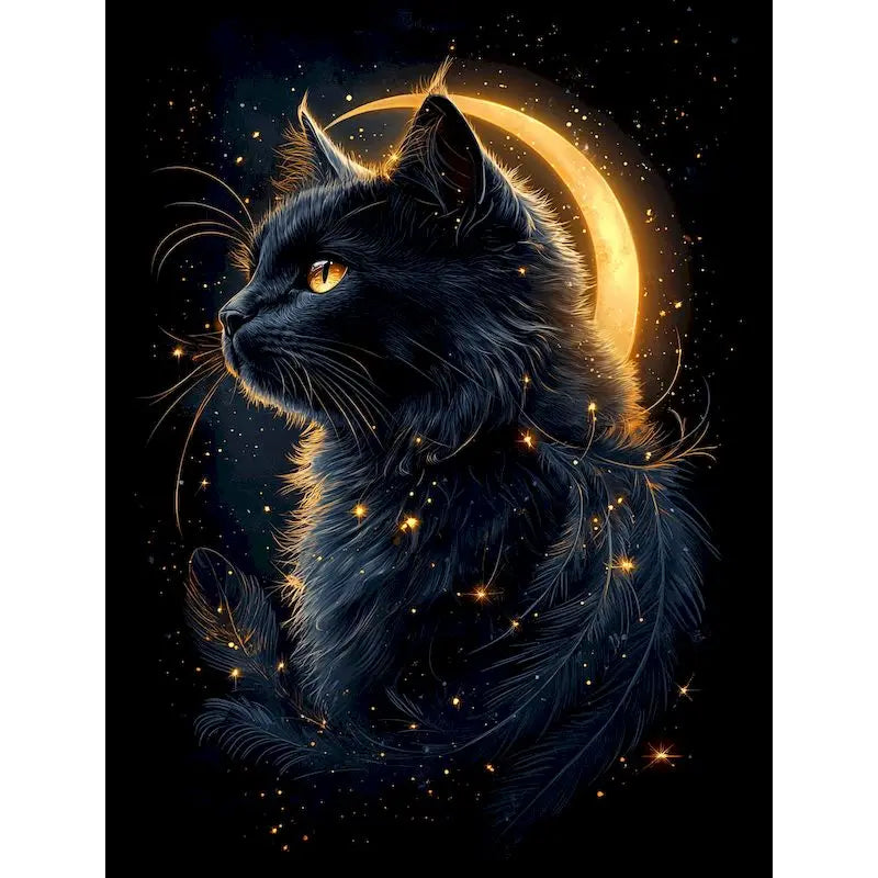Black Cat Paint by Numbers Kit | DIY Canvas Wall Art 60x75cm