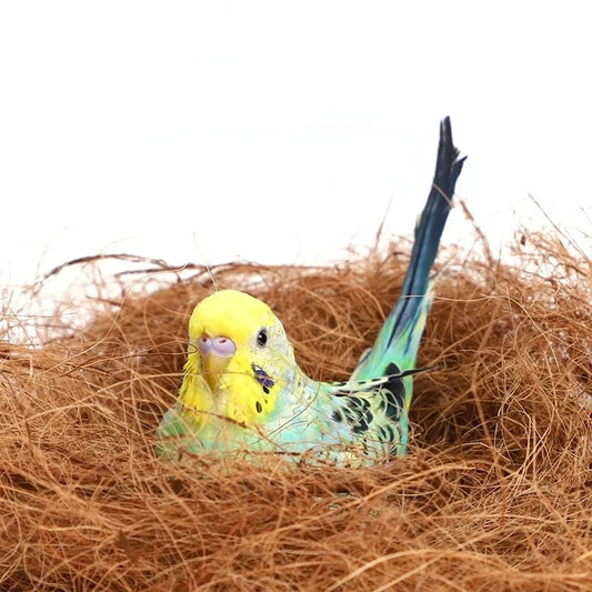 Coconut Fiber Bird Nesting Material – Canaries & Finches Bird Nesting Material Peaceful Pleasures Health and Wellness