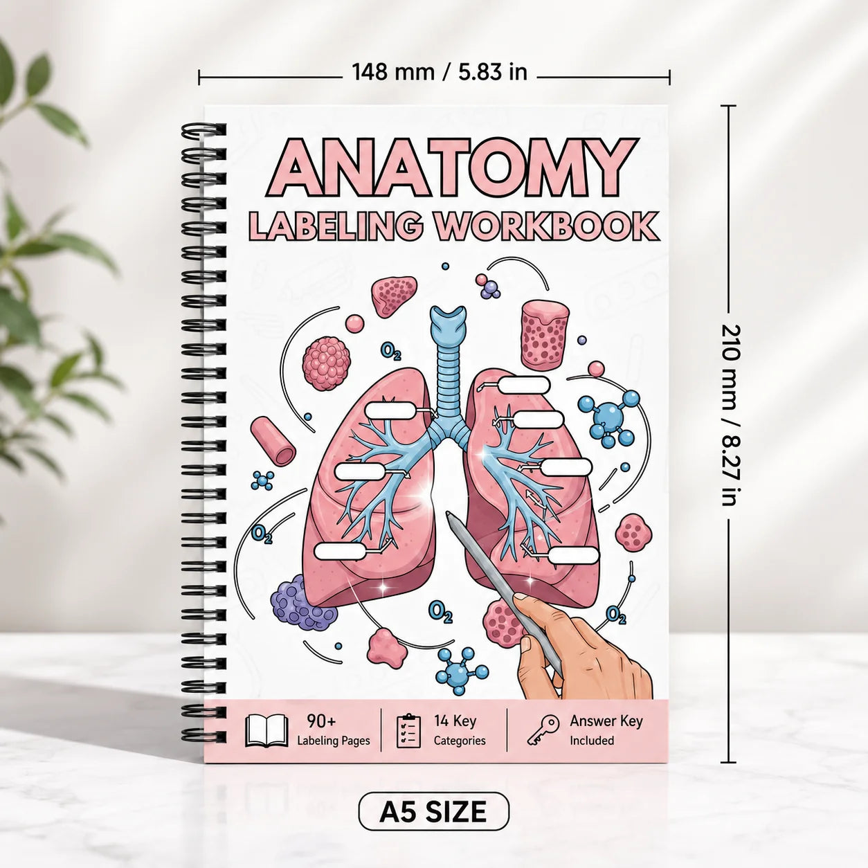 Anatomy Labeling Workbook A5 Spiral-bound Study Guide 90+ Pages 14