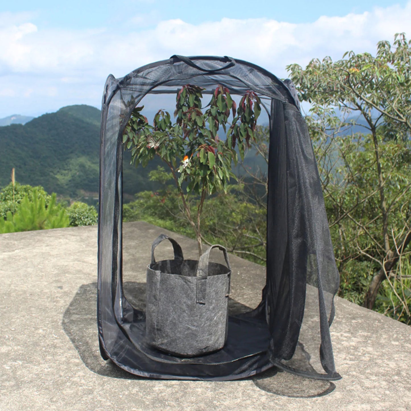 Black Collapsible Foldable Ventilated Insect Light Transmission Mesh