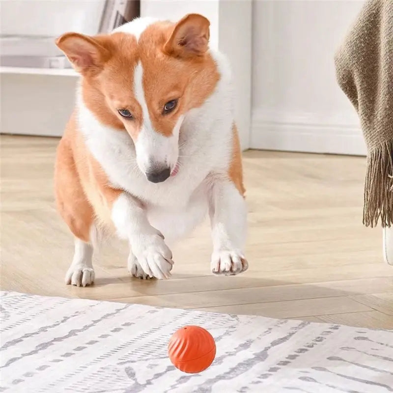 A36T-Interactive Dog Ball For Puppies And Medium-Sized Dogs-Automatic, Squeaky, With Lights Peaceful Pleasures Health and Wellness