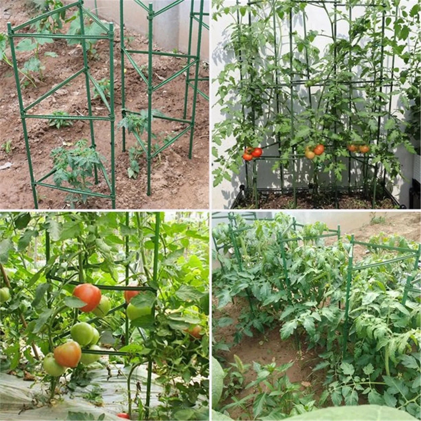 24pcs Garden Vegetable Stakes Plant Cages To Support Plant Growth Anti Overturning Tomato Cages For Vertical Climbing Of Plants Peaceful Pleasures Health and Wellness