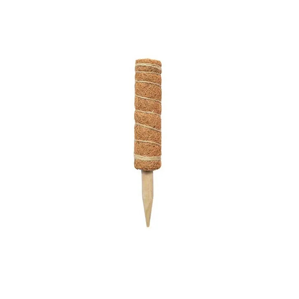 Stackable Coir Moss Pole 30/40/50cm | Plant Climbing Support
