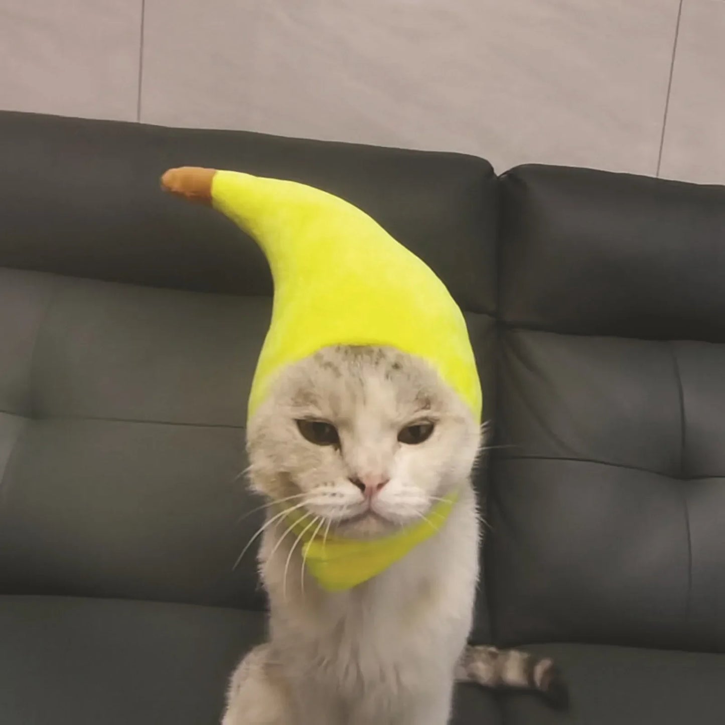 Funny quirky banana pet headgear cute cat decoration fluffy banana hat for pet partie and role-playing costume performance props Peaceful Pleasures Health and Wellness