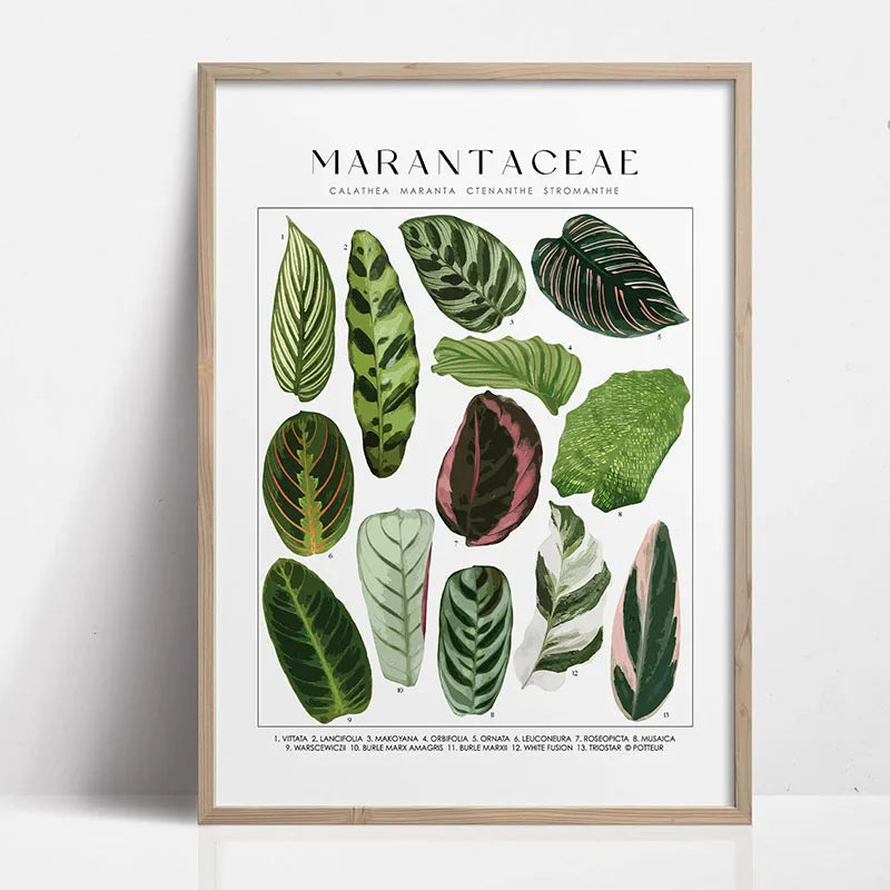 1pc Green Botanical Leaves Interior Art Print Houseplants Nature Indoors Canvas Wall Home Decor Calming Poster Foliage and Plant Peaceful Pleasures Health and Wellness