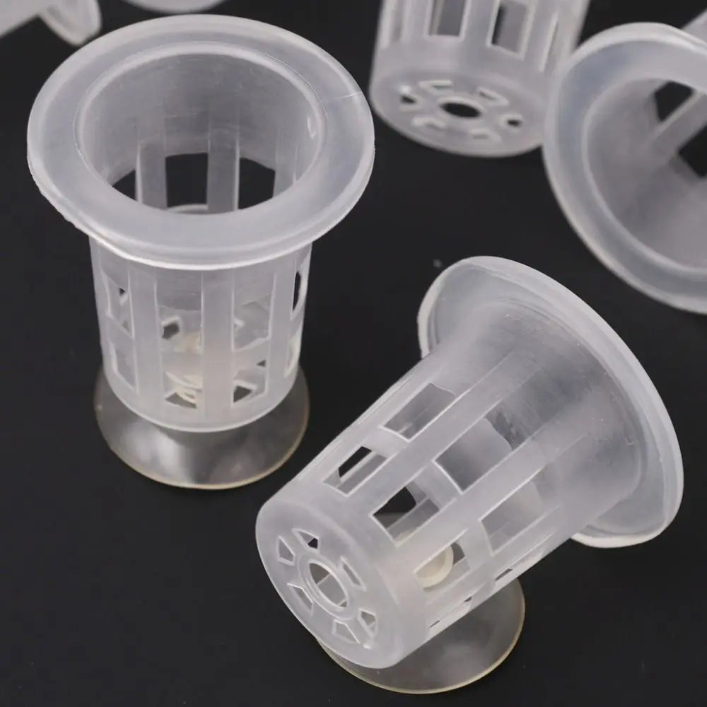 10-Pack Transparent Aquarium Hydroponic Plant Pots w/ Suction