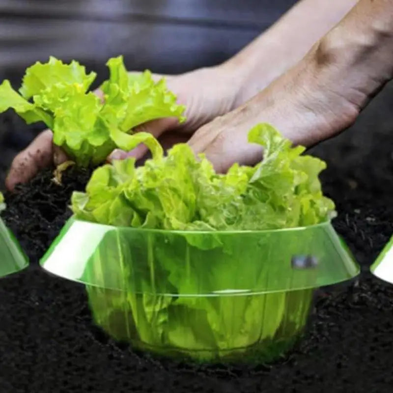 Plants Slug Protection Rings Vegetables Protective Cover Snail Collar Slug Garden Guard Protector Reusable PestControl Trapper Peaceful Pleasures Health and Wellness