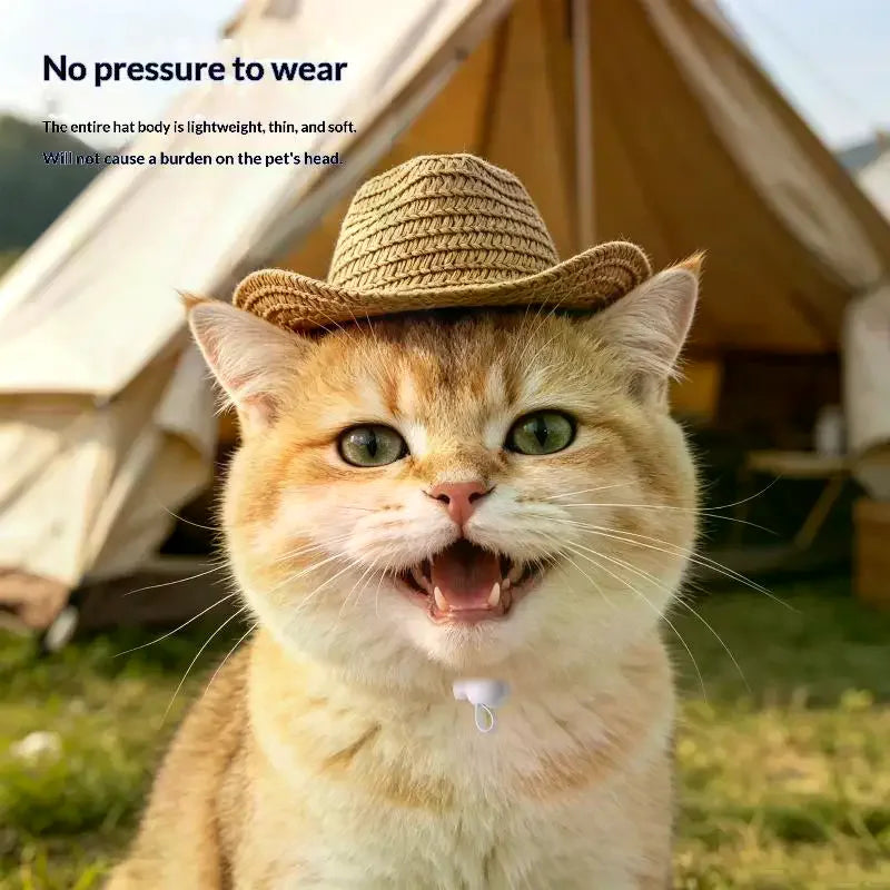 Mini Straw Pet Sun Hat for Cats & Dogs – UV Protection Cap