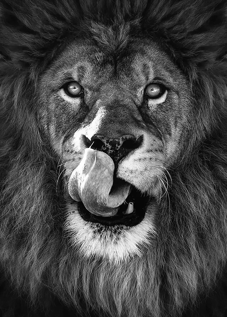 Black and White Animals Lions Family Elephant Giraffe Zebra Wall Poster Prints Canvas Painting Pictures for Kids Room Decor Peaceful Pleasures Health and Wellness 7 20x30cm Unframed
