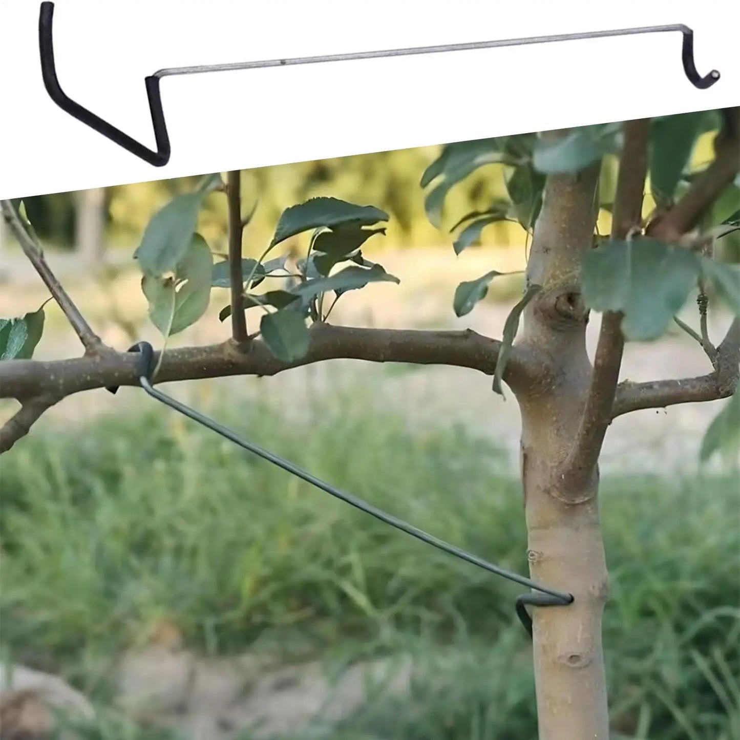 10-Pack Fruit Tree Branch Spreader & Limb Bending Tool Set