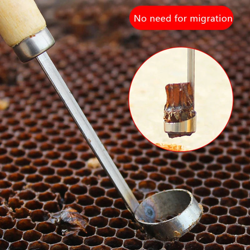 Beekeeping Device Beehive Cleaning Scraper Functional Honey Remover Beekeepers Supplies For Beekeeper Garden Equipments 1 Piece Peaceful Pleasures Health and Wellness