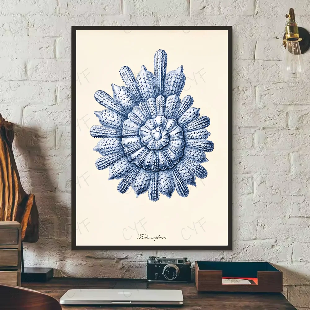Blue Sea Creature Coral Shrimp Poster HD art sticky wall waterproof home living room bedroom bar aesthetic decoration Peaceful Pleasures Health and Wellness z4 30X40cmNoframe