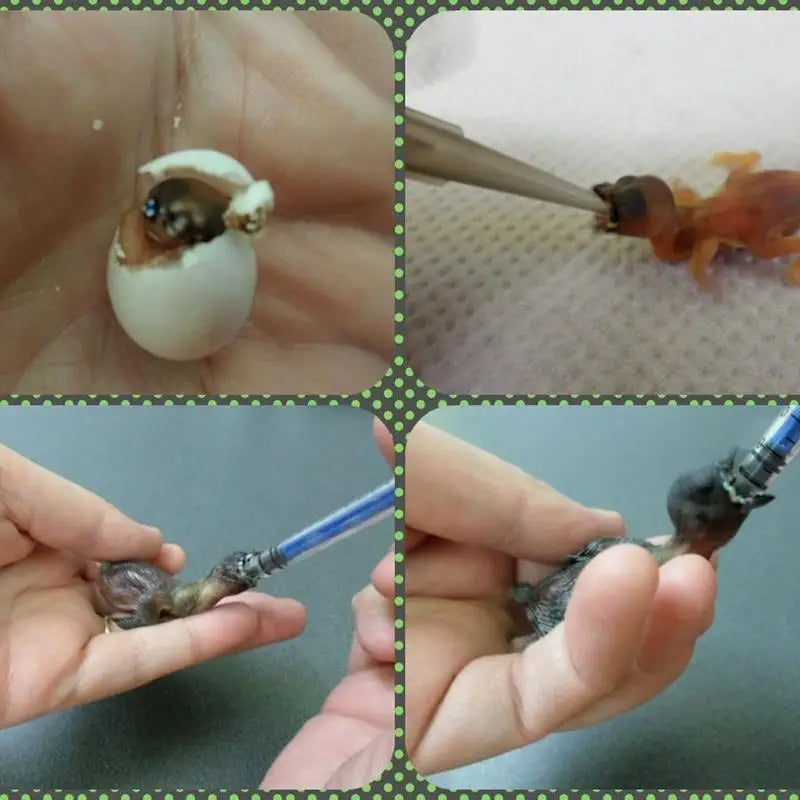 Nestlings Baby Birds Universal Feeding Syringe Budgie Parrot Hand