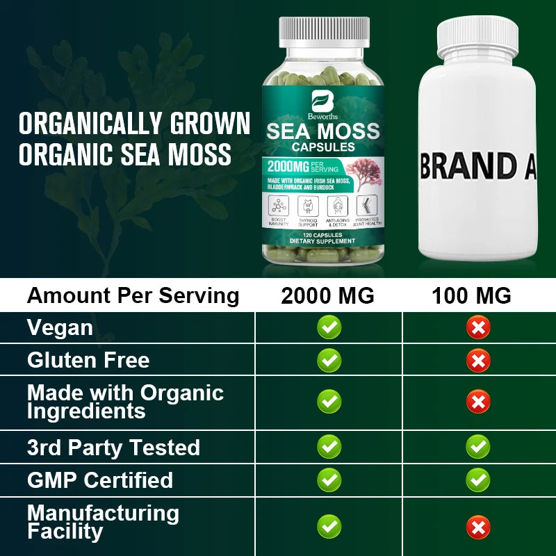 Organic Sea Moss Capsules – Immunity, Thyroid & Gut Health Herbal Supplement Peaceful Pleasures Health and Wellness