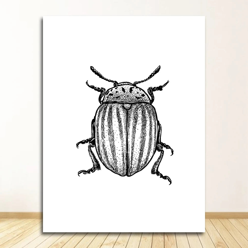 Black & White Insect Bug Canvas Wall Art Print | Unframed Poster