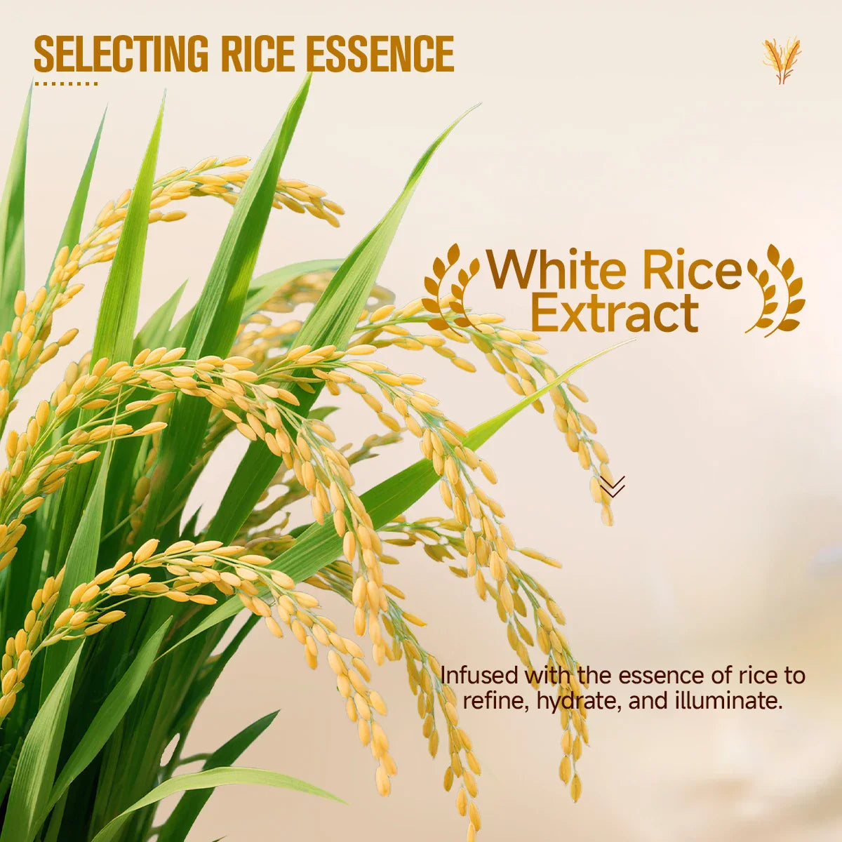 Rice Extract Brightening & Moisturizing Face Cream 290ml