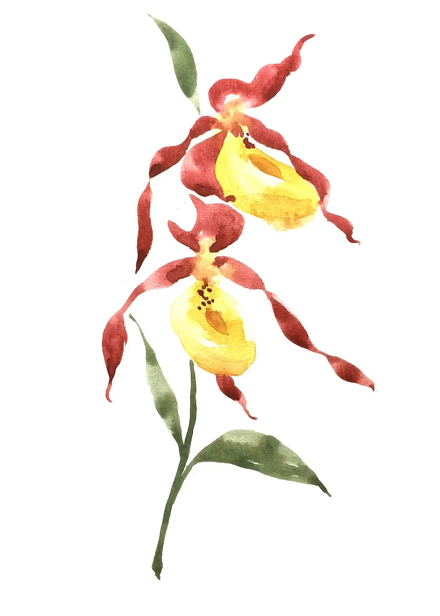 Watercolor Floral Canvas Wall Art Print | Unframed Poster