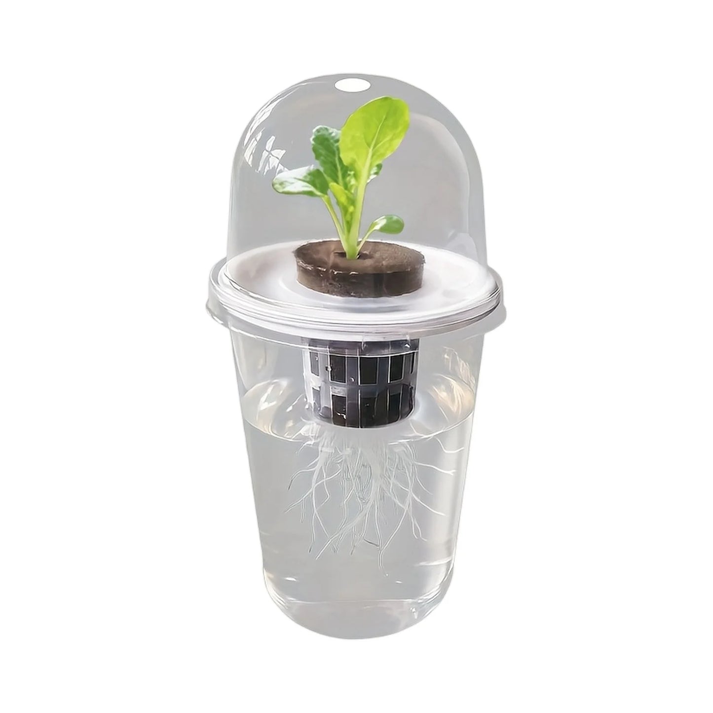 1pc Visible Clear Plants Germination Cup Hydroponic Seed Planter Pots Reusable Durable Seed Starter Tray Plastic View Cups Peaceful Pleasures Health and Wellness White
