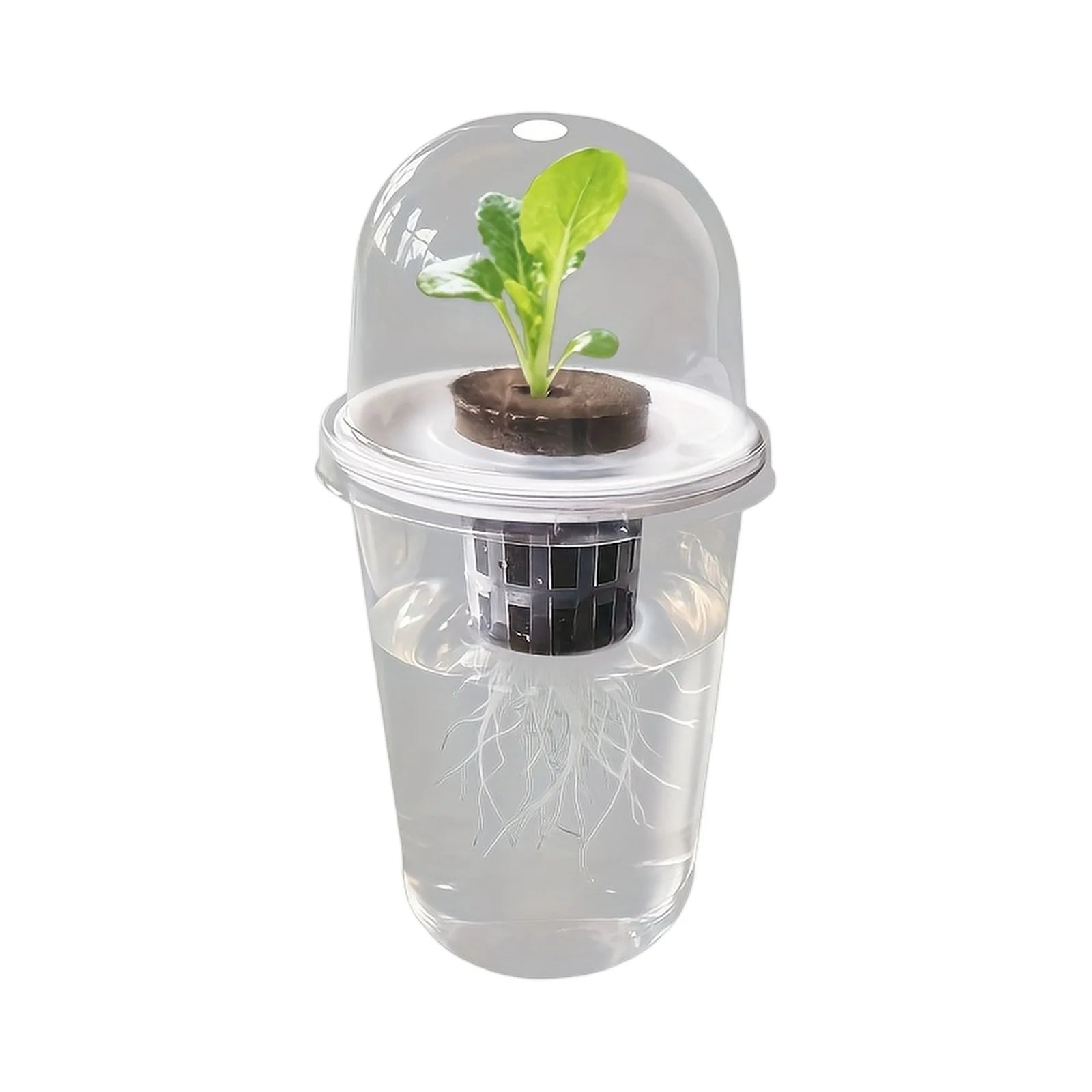 1pc Visible Clear Plants Germination Cup Hydroponic Seed Planter Pots Reusable Durable Seed Starter Tray Plastic View Cups Peaceful Pleasures Health and Wellness White