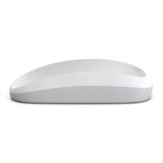 -Trust Mouse Dock for Apple Magic Mouse 2 Charging Dock Ergonomic Wireless Charging Pad Housing Increased Height-B Peaceful Pleasures Health and Wellness NONE