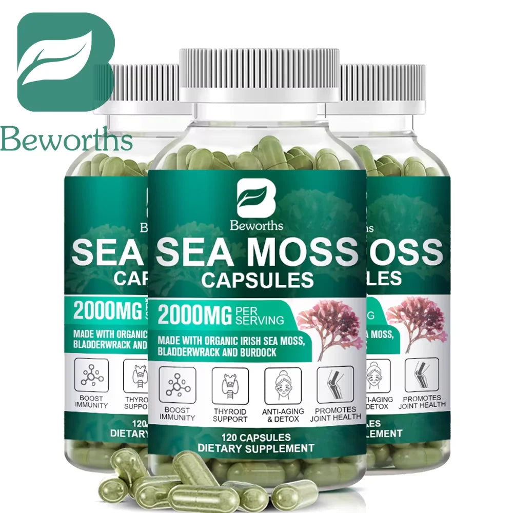 Organic Sea Moss Capsules – Immunity, Thyroid & Gut Health Herbal Supplement Peaceful Pleasures Health and Wellness 3Bottles United States
