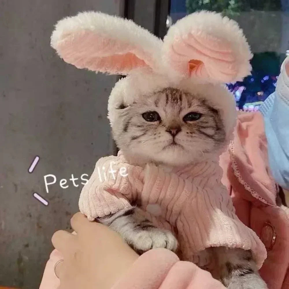Winter Rabbit Ear Teddy Bear Dog Cat Clothes Warm Comfortable Elastic Cute Pet Coat Clothing for Small Dogs Peaceful Pleasures Health and Wellness